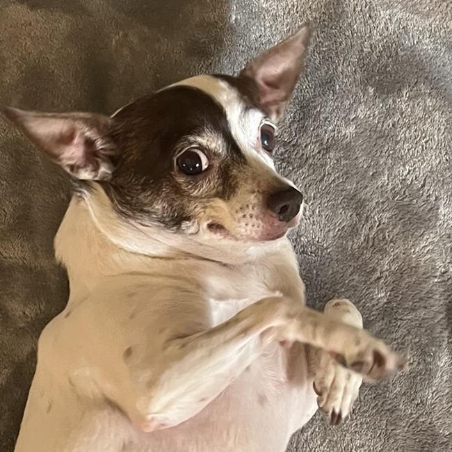 Avatar for @FrannyS on Greg, the plant care app