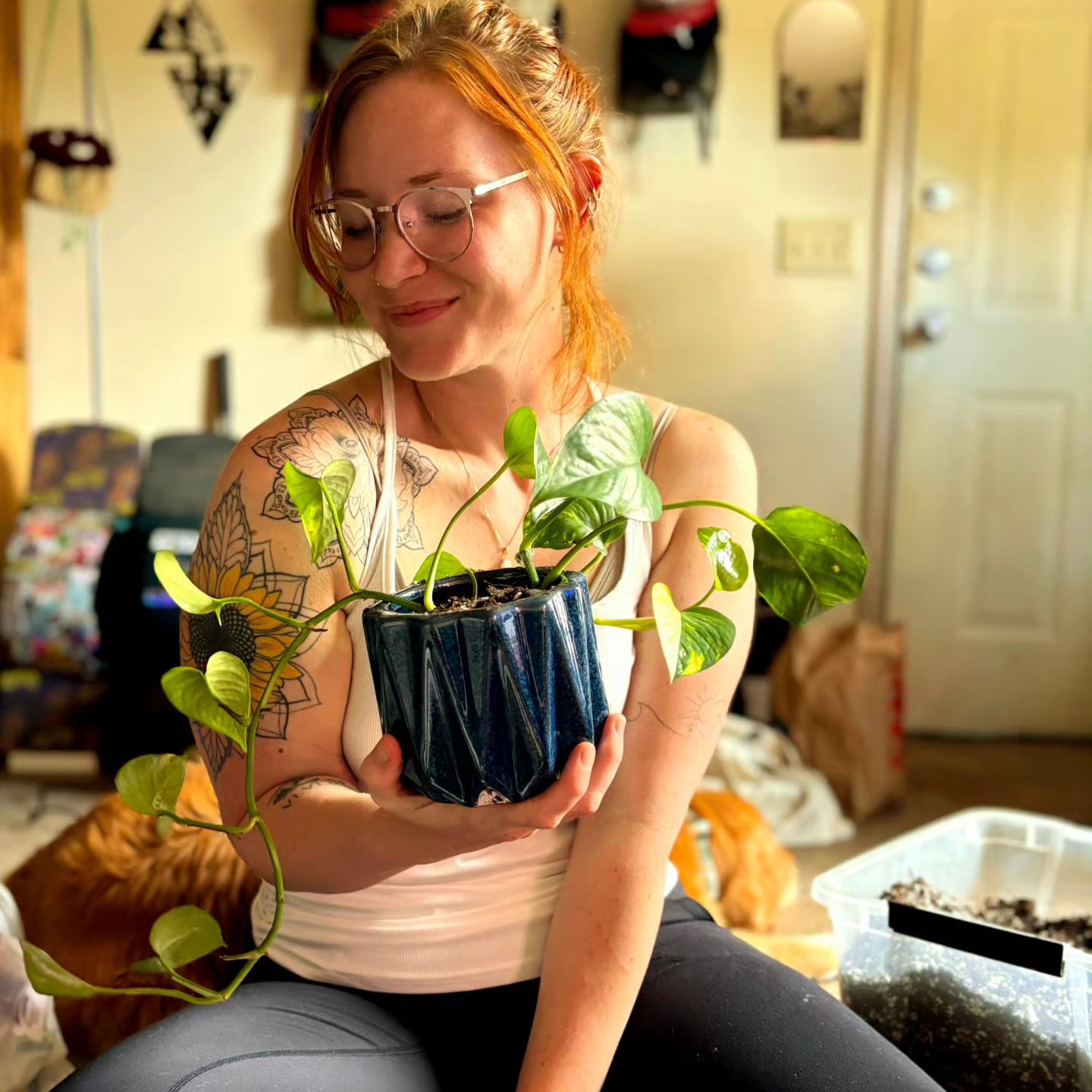 Avatar for @YeahBlackknight on Greg, the plant care app