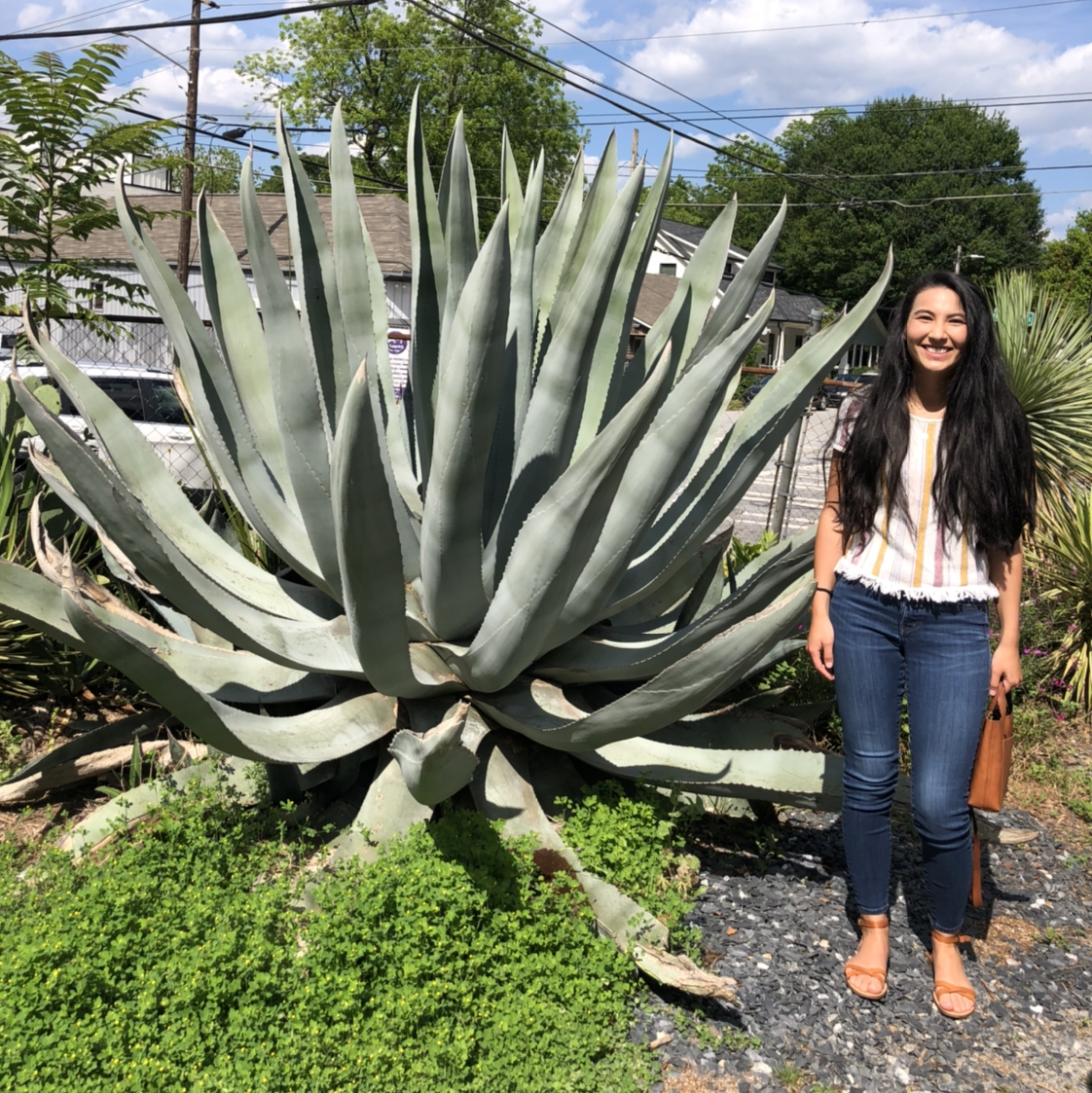 Avatar for @vzeh93 on Greg, the plant care app