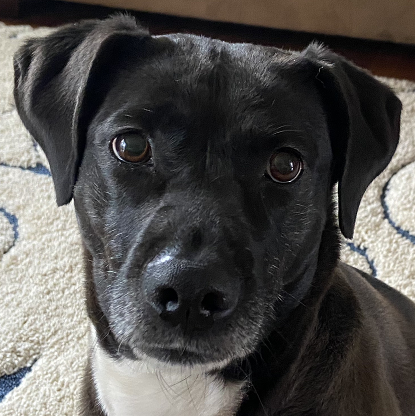 Avatar for @KayElle on Greg, the plant care app