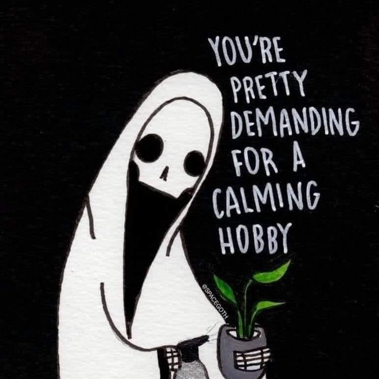 Avatar for @hillylew on Greg, the plant care app