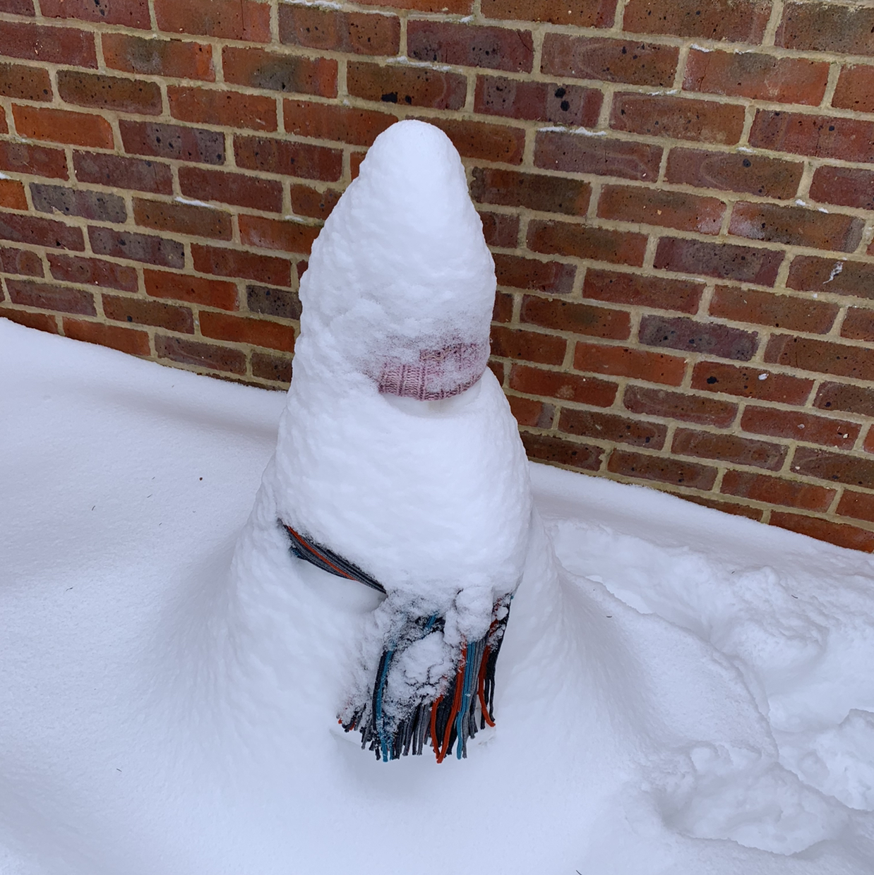 Avatar for @Lornza23 on Greg, the plant care app