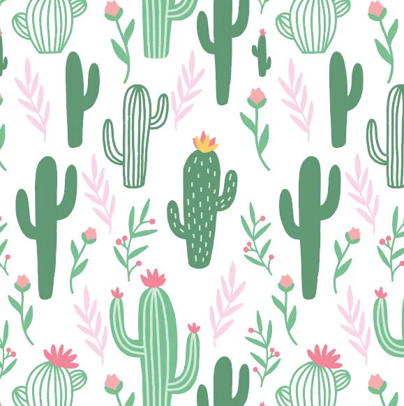 Avatar for @K.Cactus20 on Greg, the plant care app