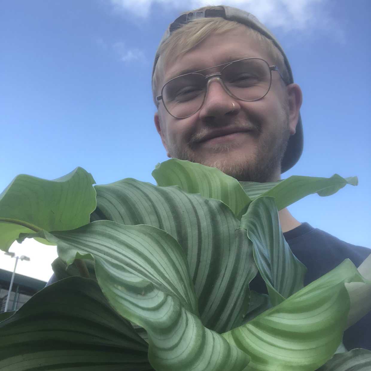 Avatar for @nottodayben on Greg, the plant care app