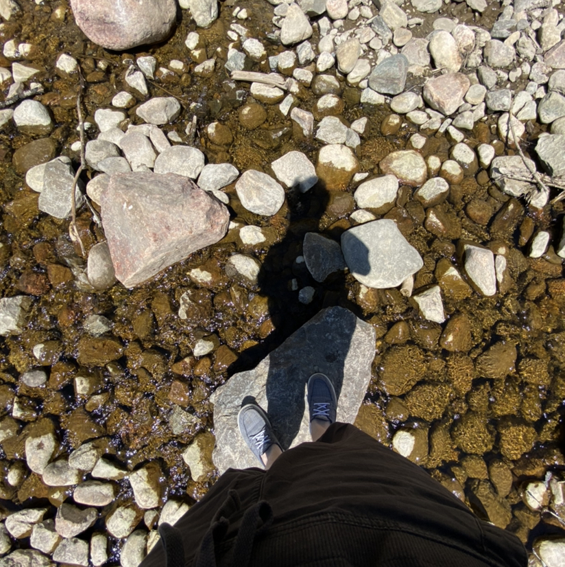 Avatar for @enbysprout on Greg, the plant care app