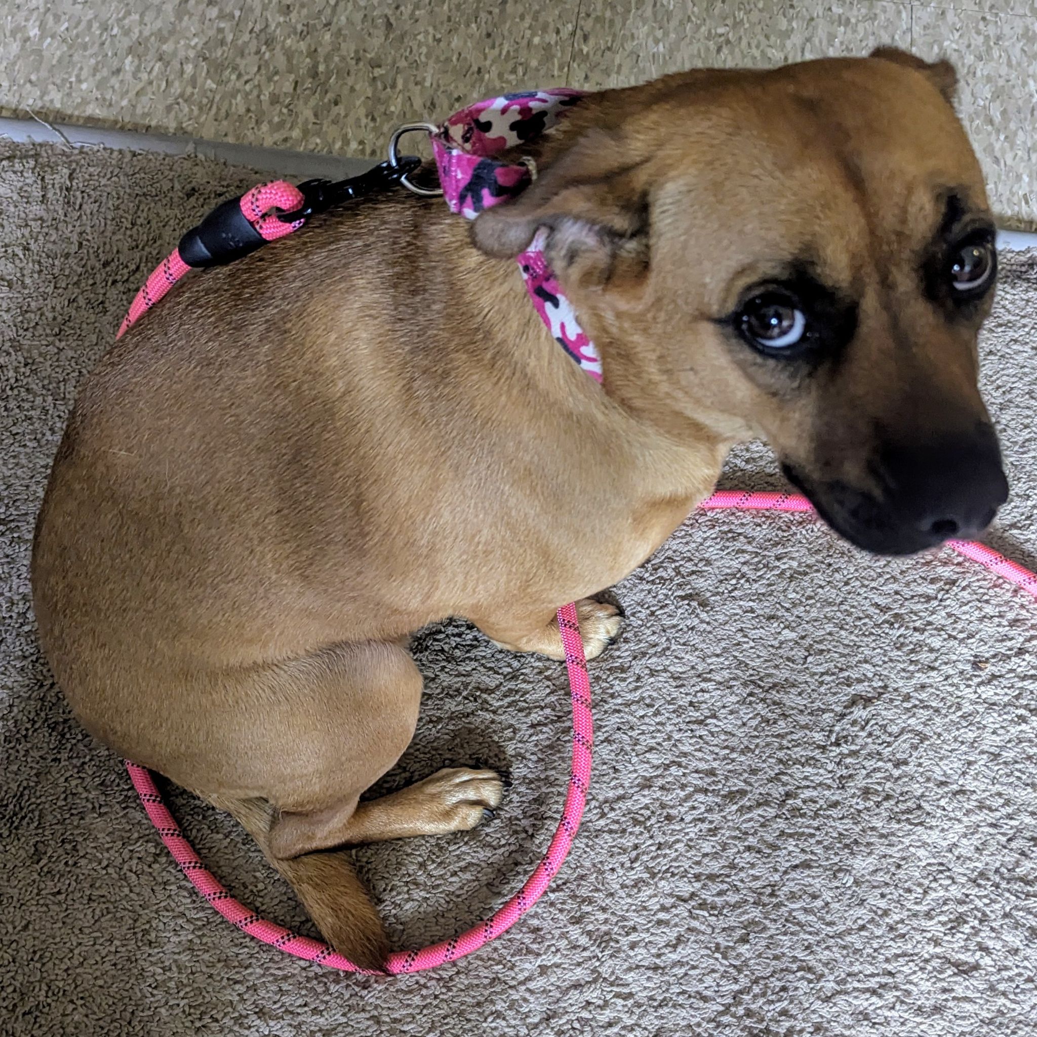 Avatar for @BraveSandcherry on Greg, the plant care app