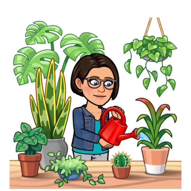 @HeadFrogfruit avatar