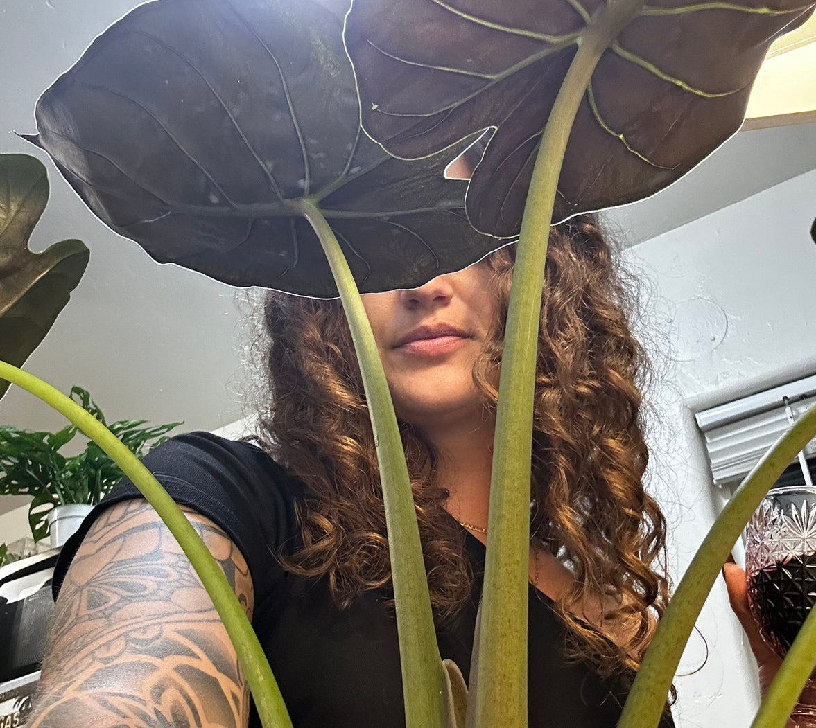 @plant_addict avatar