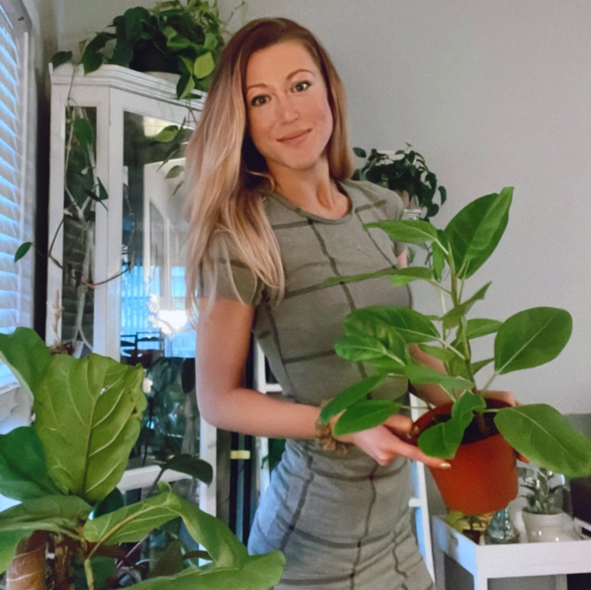 @PlantLoverLily avatar