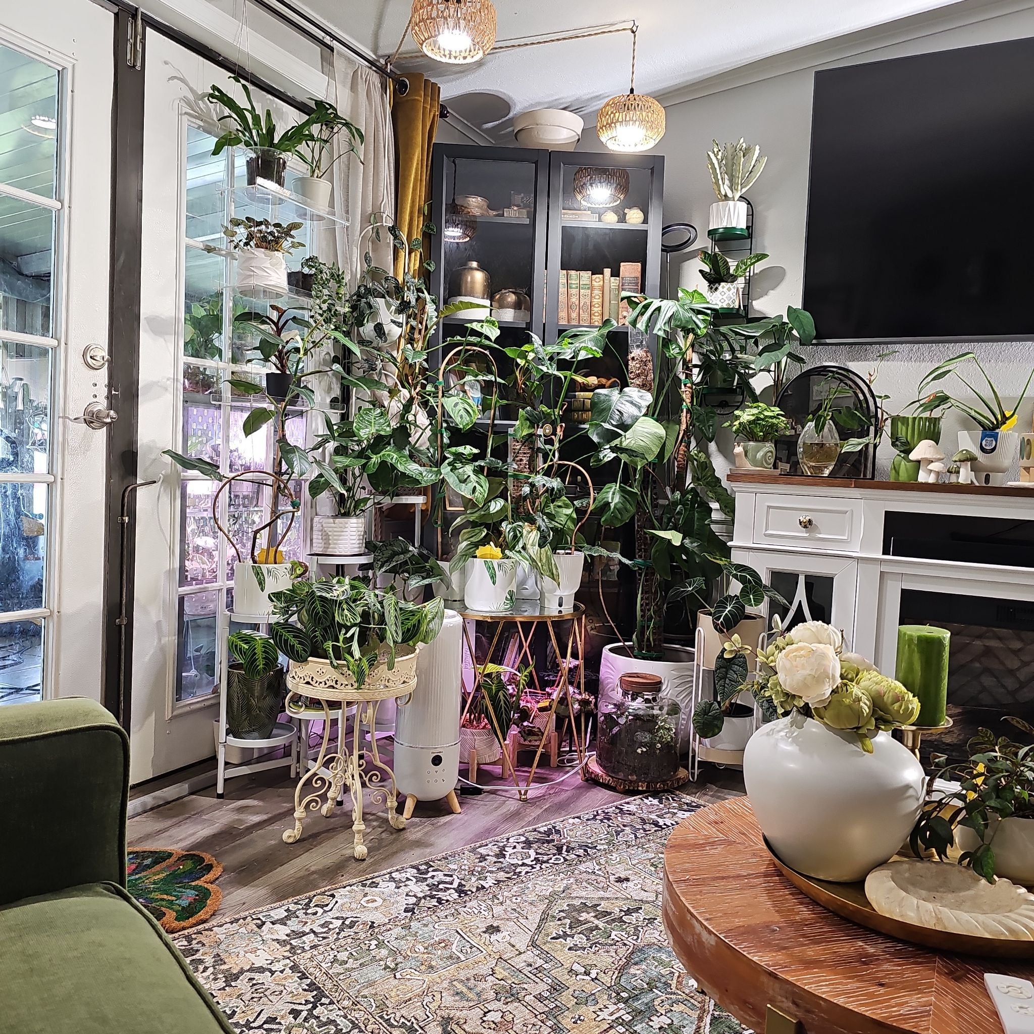 Avatar for @plantlover69 on Greg, the plant care app