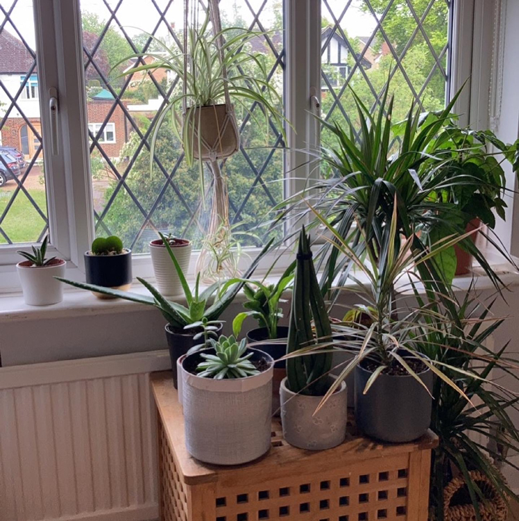 @hattie.patten avatar