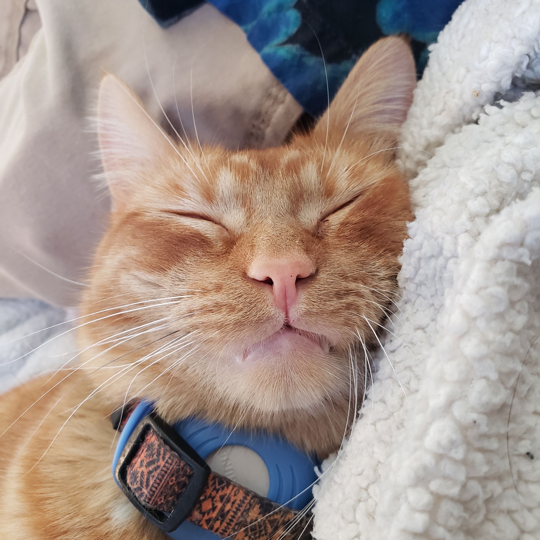 Avatar for @QuirkyRosehip on Greg, the plant care app