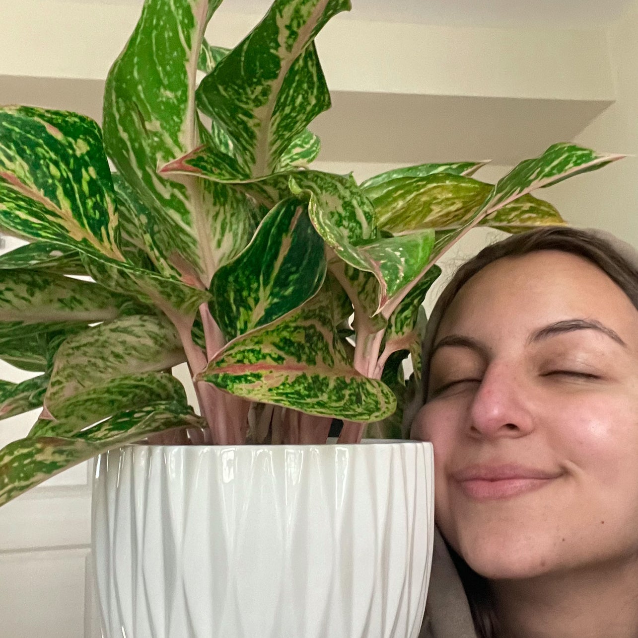 Avatar for @hkhalifeh on Greg, the plant care app