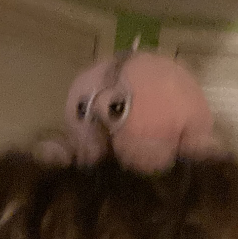 @Suckr4Succulnts