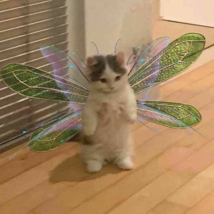 Avatar for @millie.aw on Greg, the plant care app