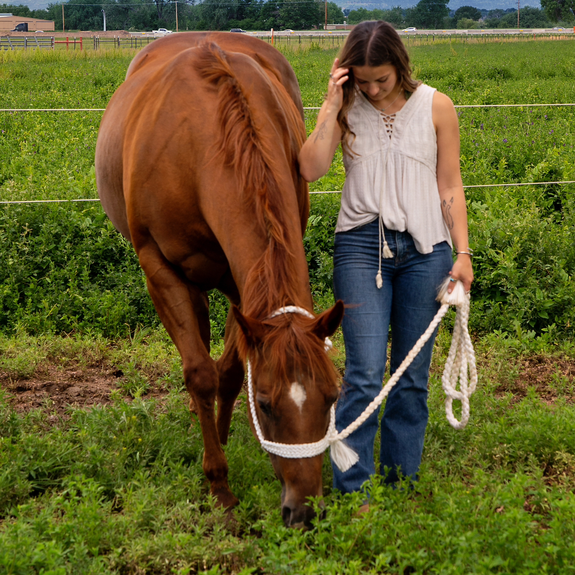 @peachykeen42 avatar