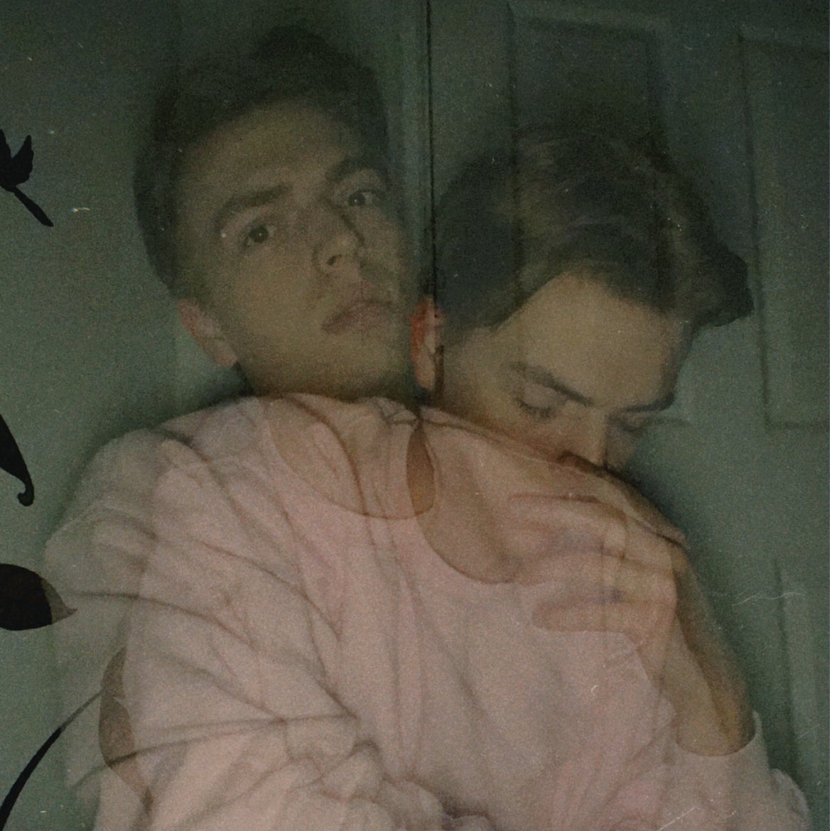 Avatar for @hoetov on Greg, the plant care app