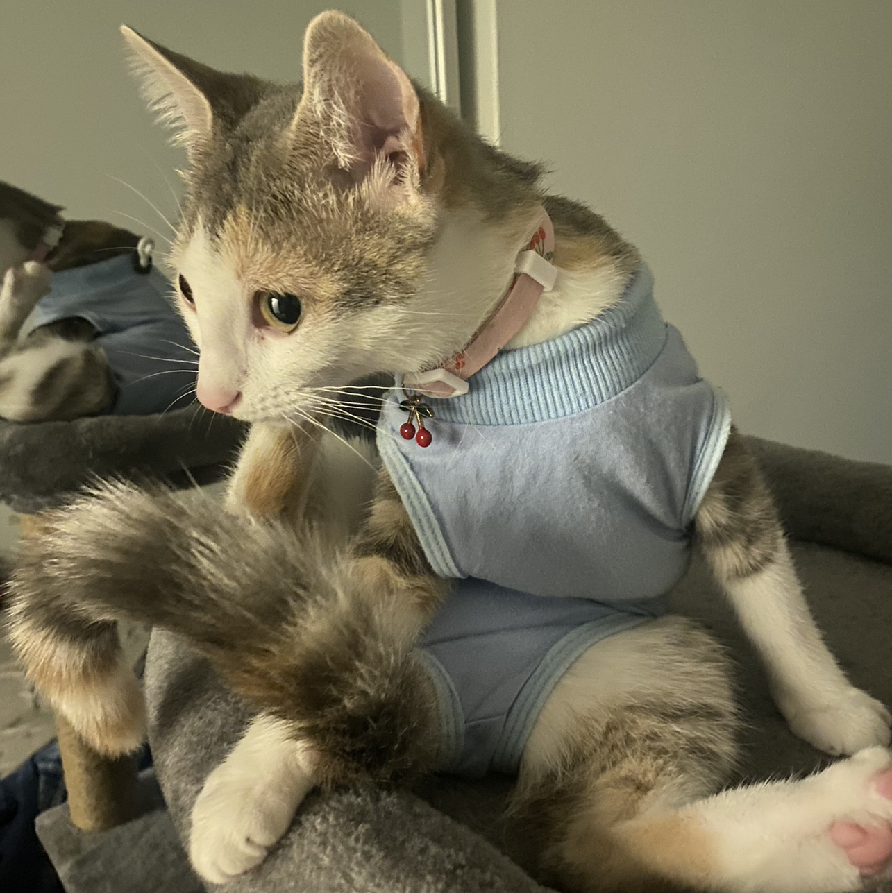 Avatar for @Emakinci on Greg, the plant care app