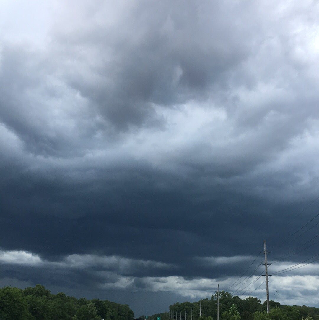 @BrandyLVSplants avatar