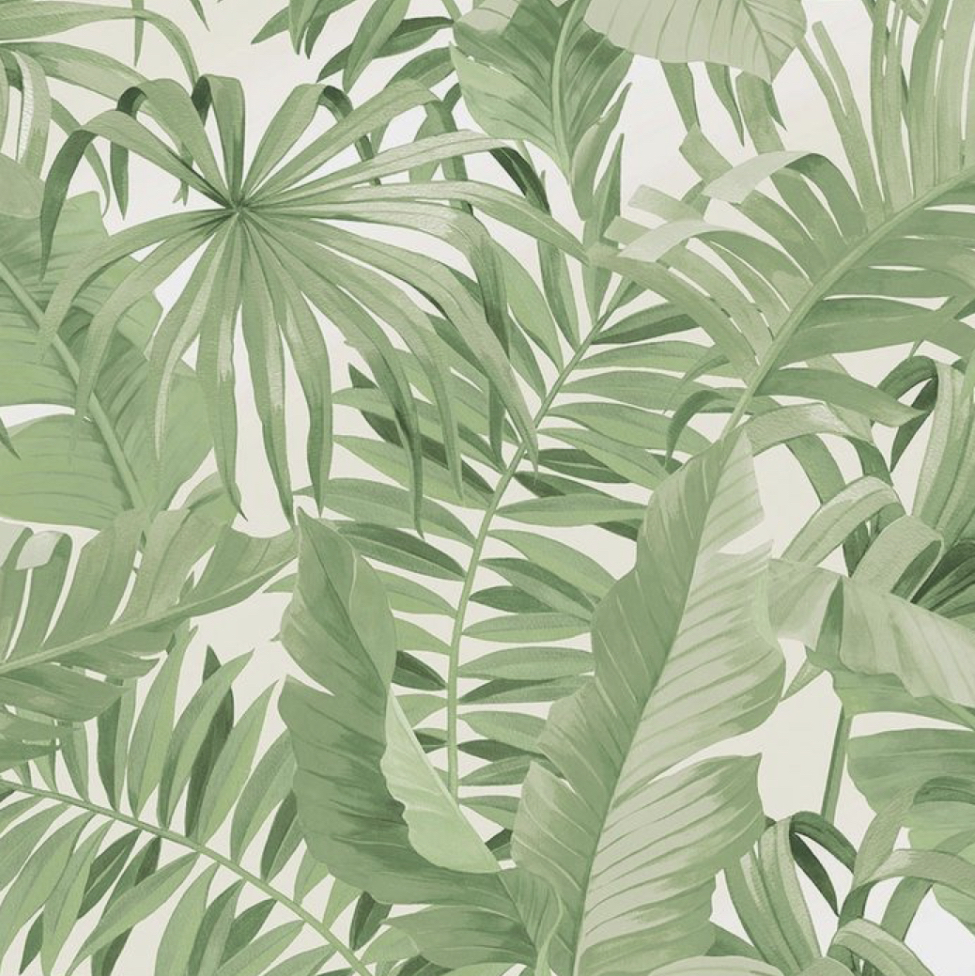 @Leya_gardddd avatar