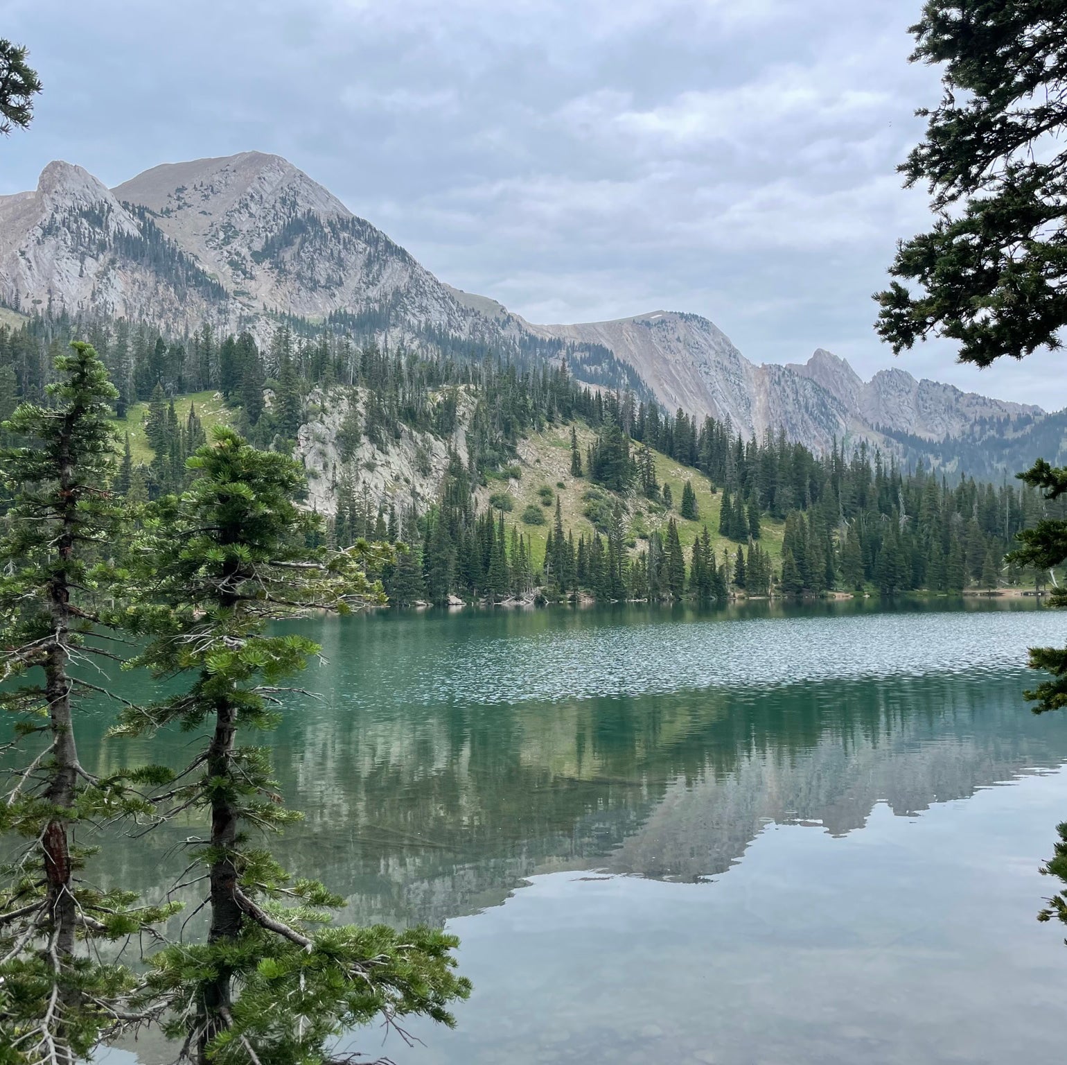 @VaultingPepino avatar