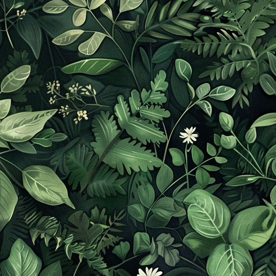 @EcoPlantLover avatar