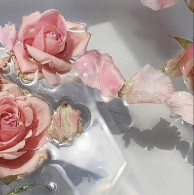 Avatar for @dawndelions on Greg, the plant care app