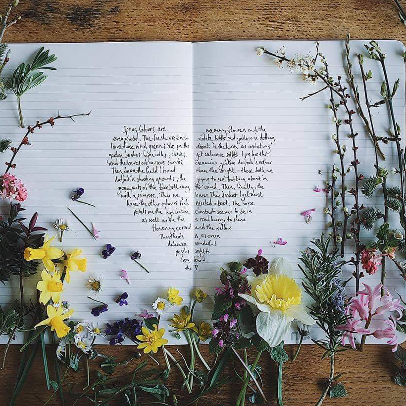 Avatar for April on Greg, the plant care app