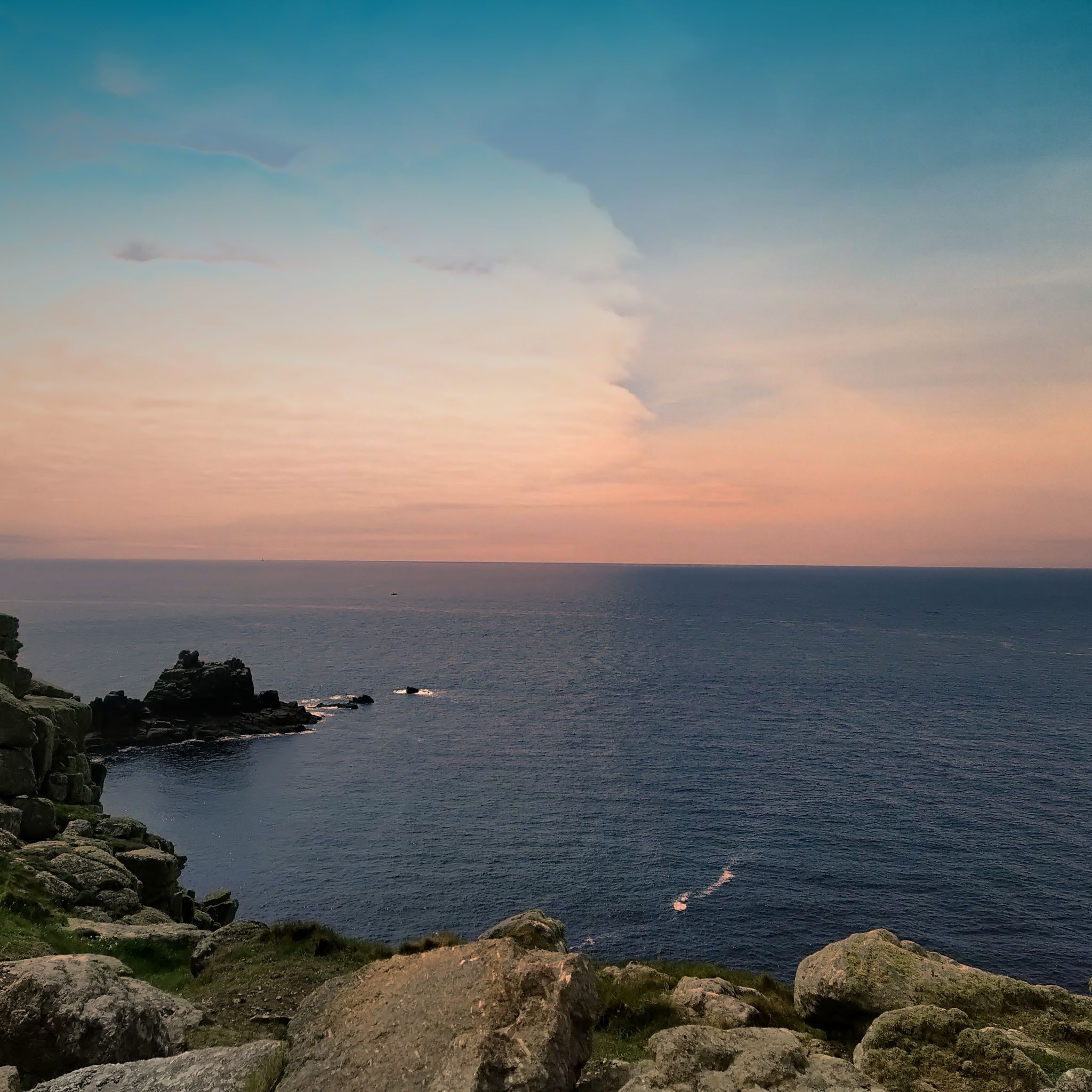 Avatar for @msbubble07 on Greg, the plant care app