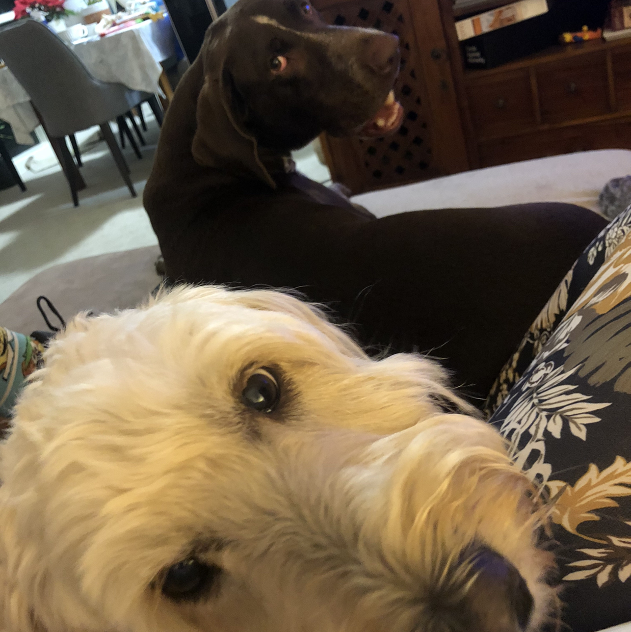 Avatar for @JungleMabel on Greg, the plant care app