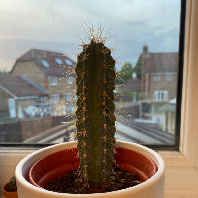 Avatar for @Lotti3_rea on Greg, the plant care app