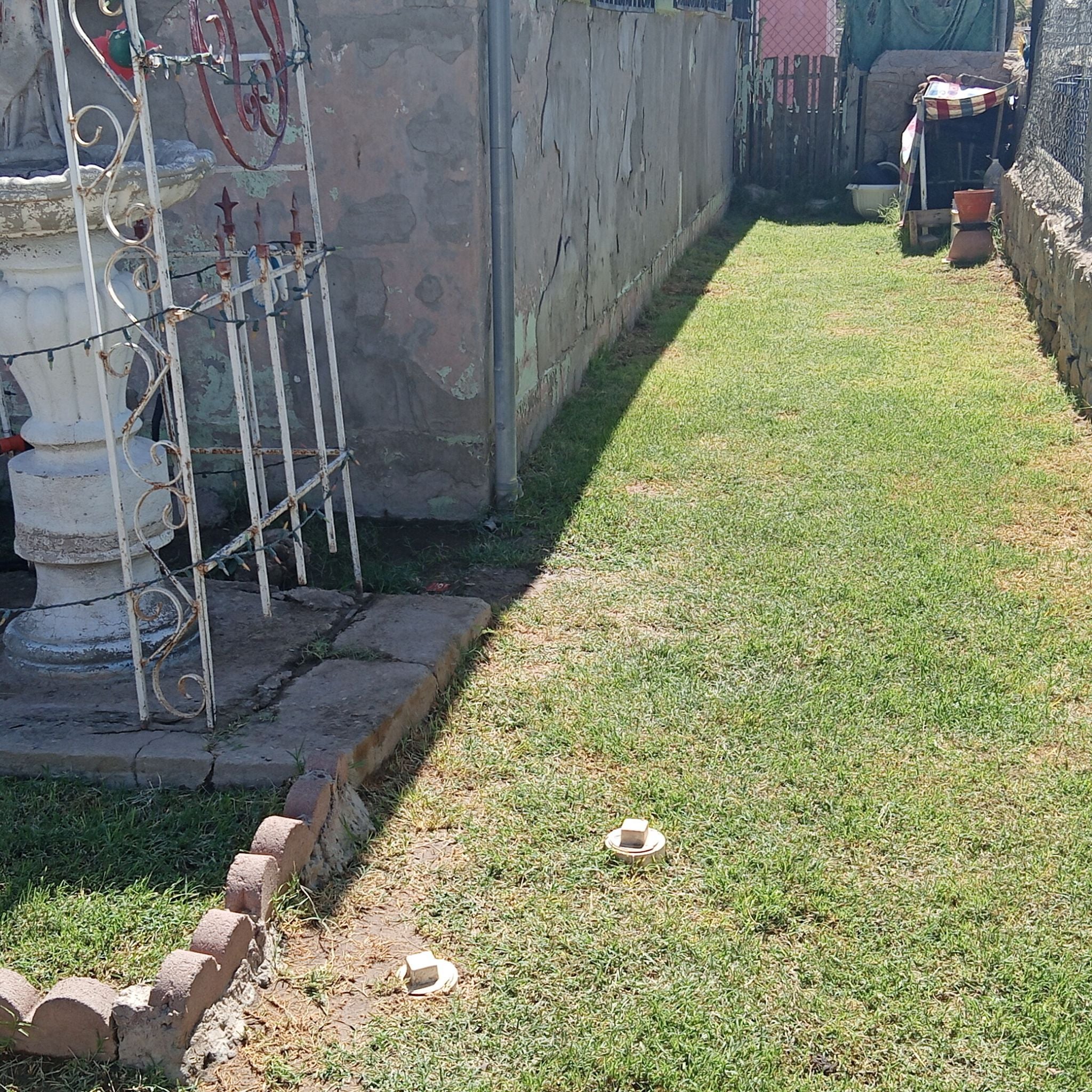 @AffableBarley avatar