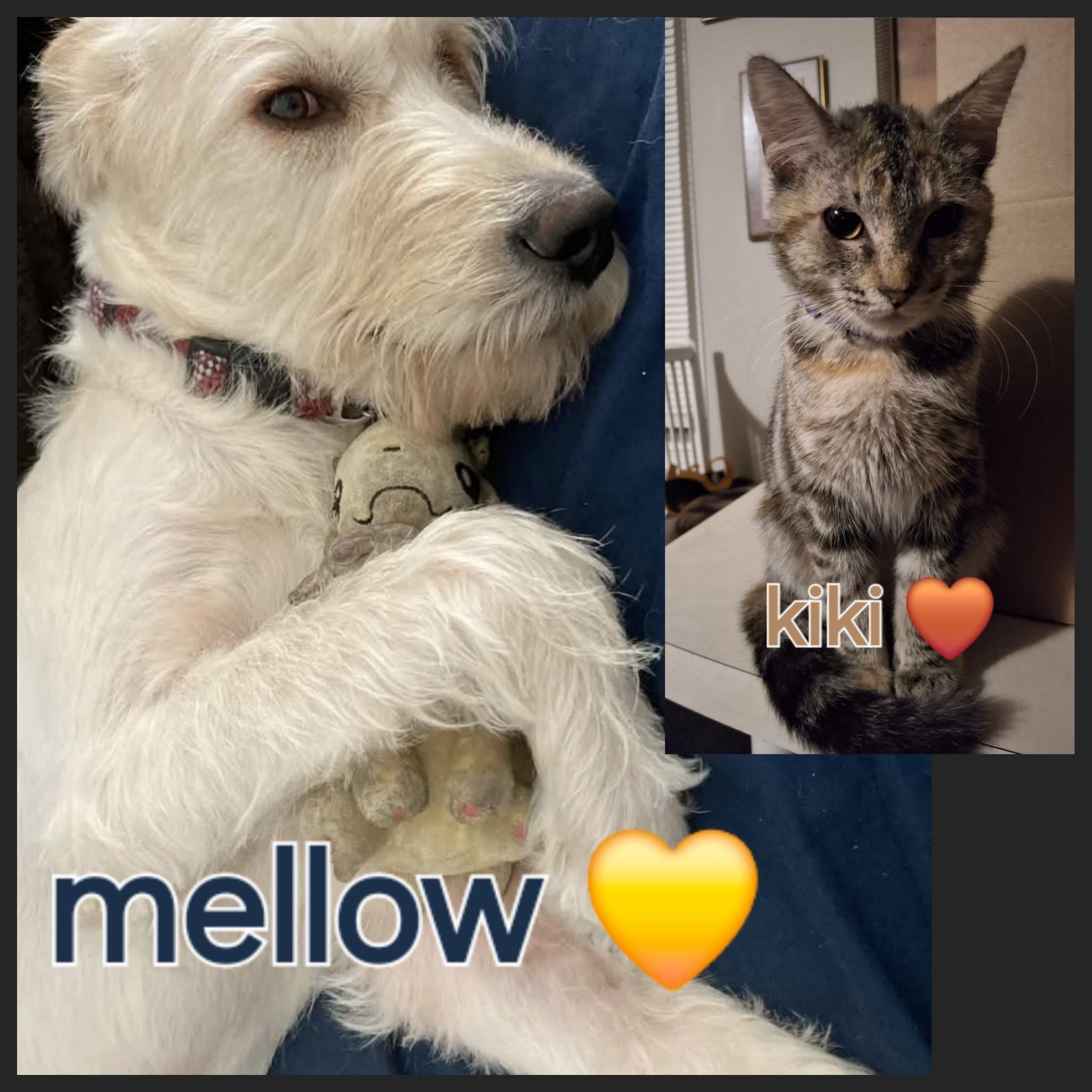 @Greenthumbwiz avatar