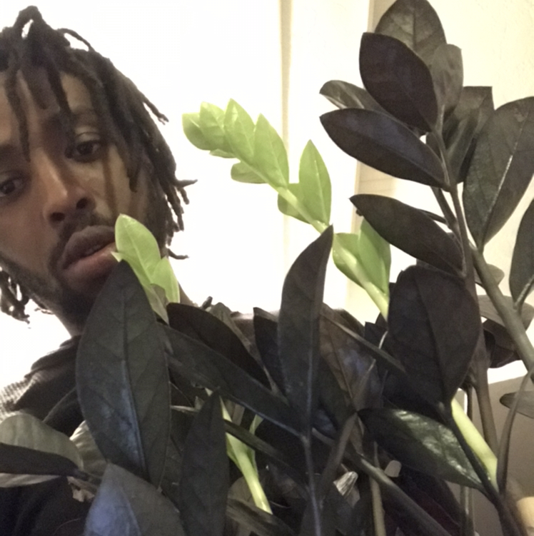 @Smokeheem avatar