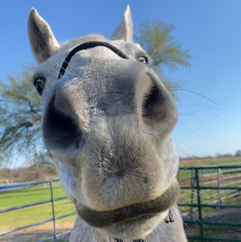 Avatar for @Ali_cactus on Greg, the plant care app