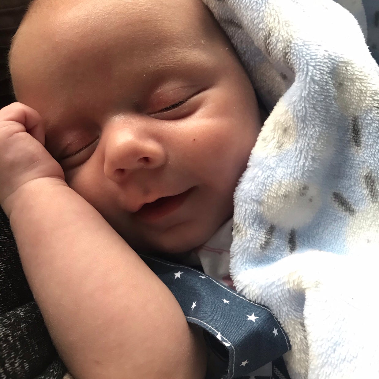 Avatar for @Dippy on Greg, the plant care app