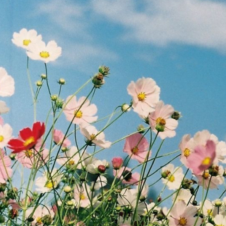 @I_Like_Plants
