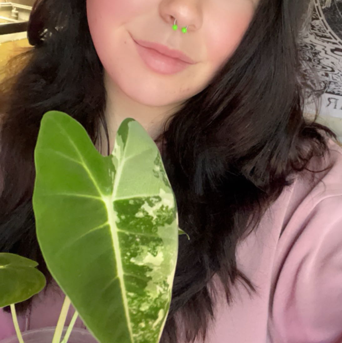 Avatar for @Peacebybotany on Greg, the plant care app