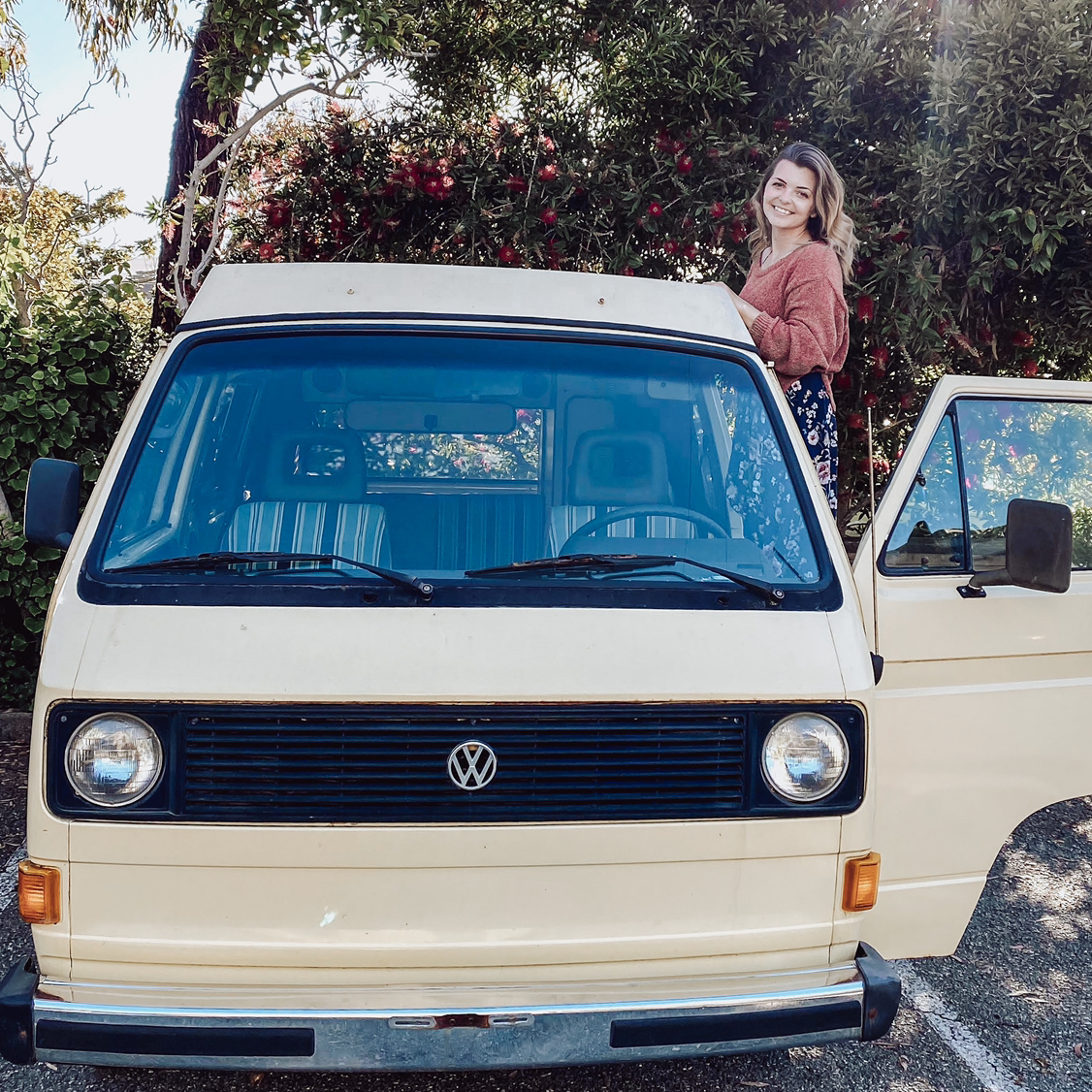 Avatar for @nikkilynn on Greg, the plant care app