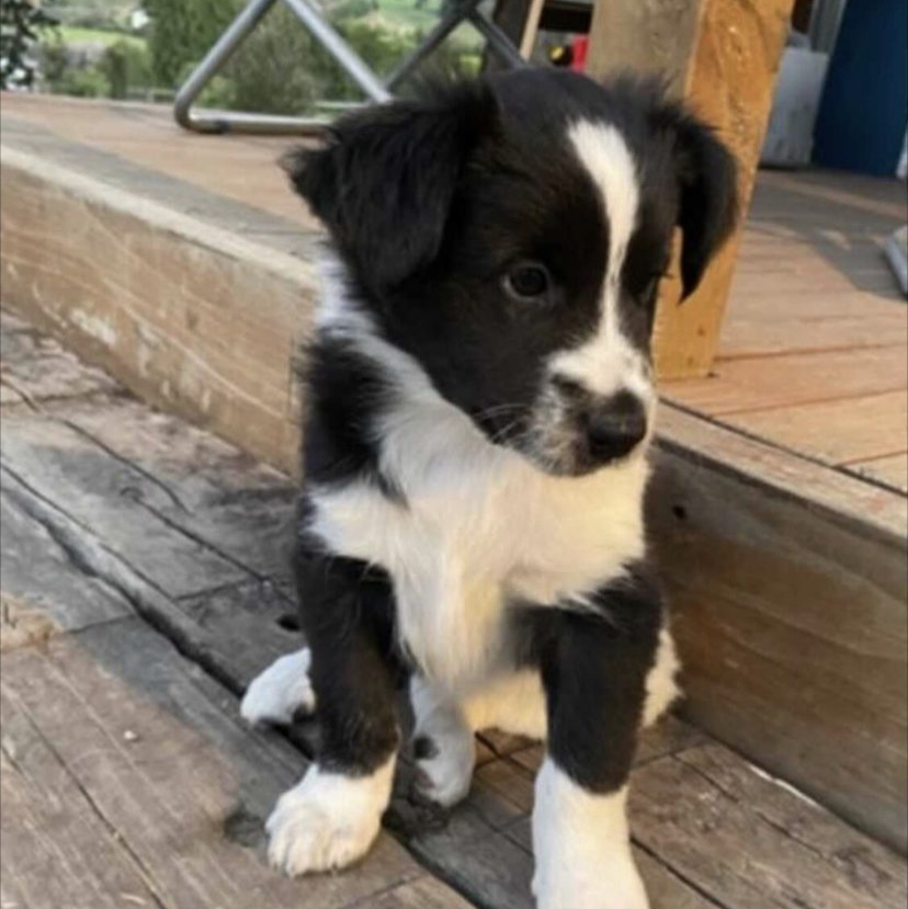 Avatar for @Sophiep on Greg, the plant care app