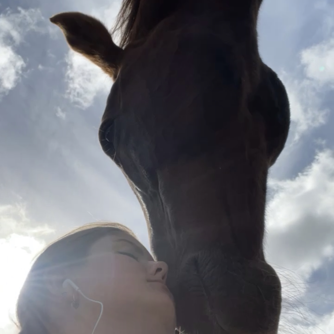 @ard.thresher avatar