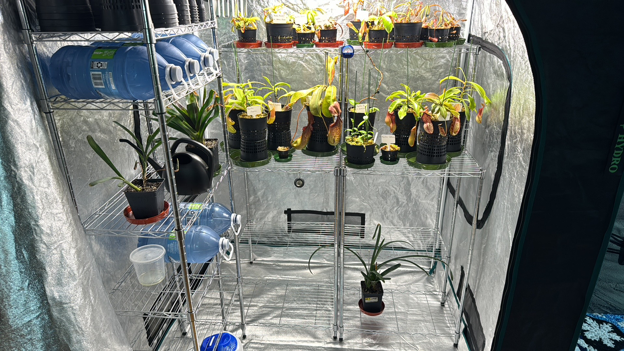 Avatar for @UpbeatEndive on Greg, the plant care app