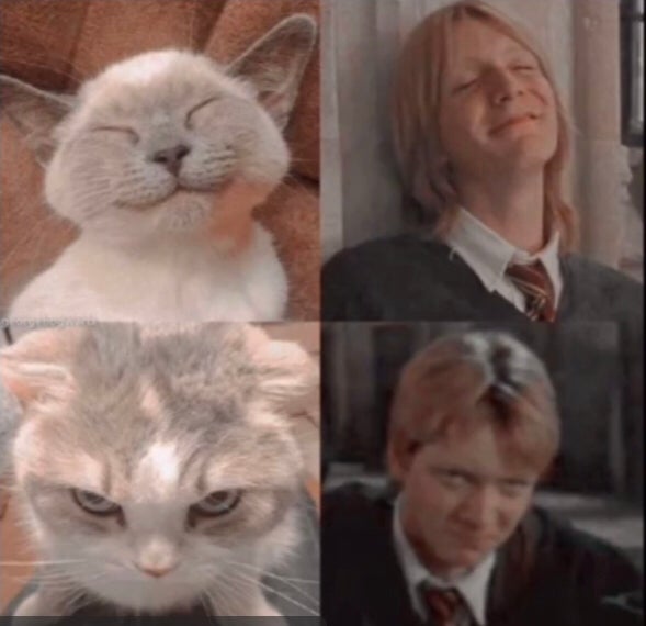 @Harrypotterlover avatar