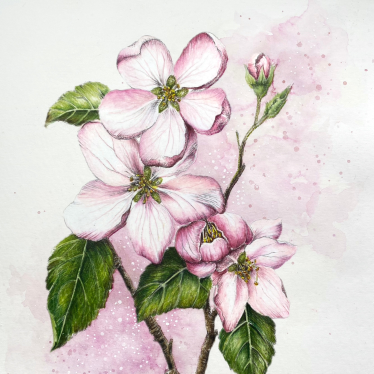 Avatar for @ArtGirl14 on Greg, the plant care app