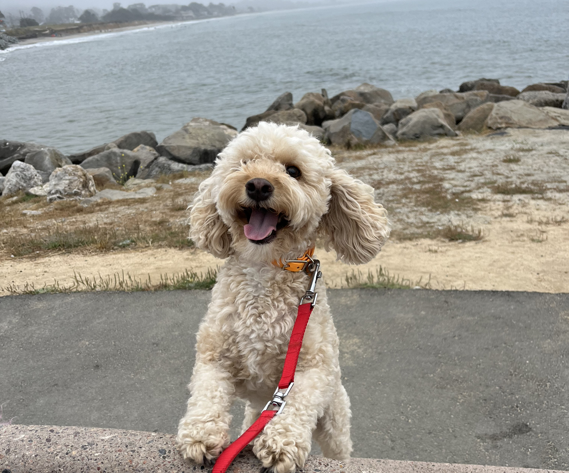 Avatar for @Magnofigogirl on Greg, the plant care app