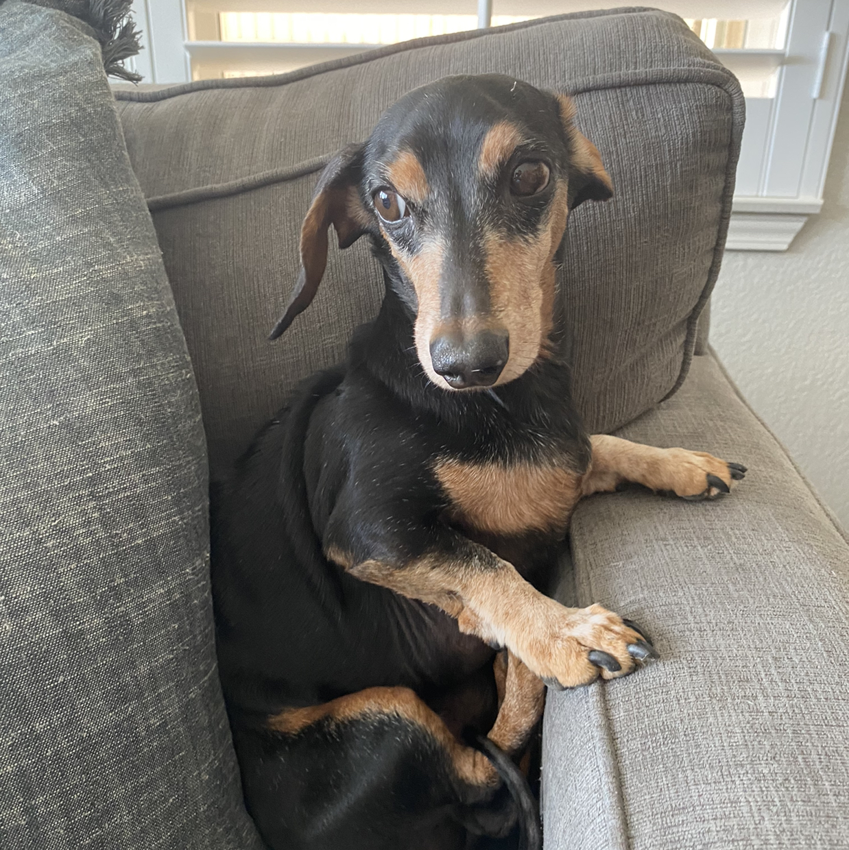 Avatar for @Plant-aholic on Greg, the plant care app