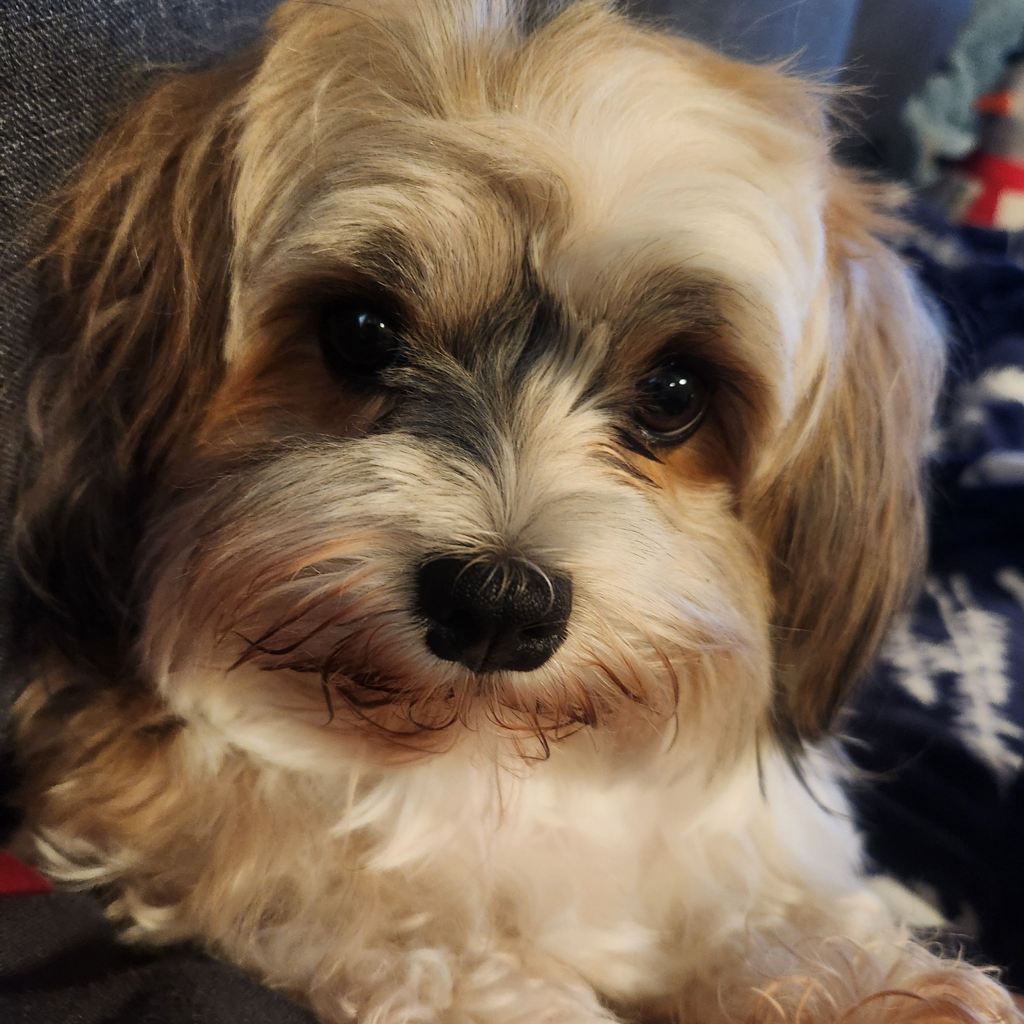 Avatar for @Scubamom on Greg, the plant care app