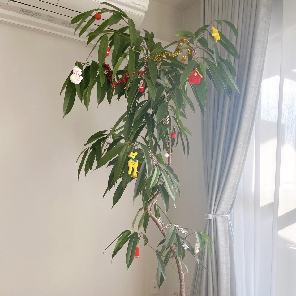 Avatar for @MarikaGarden on Greg, the plant care app