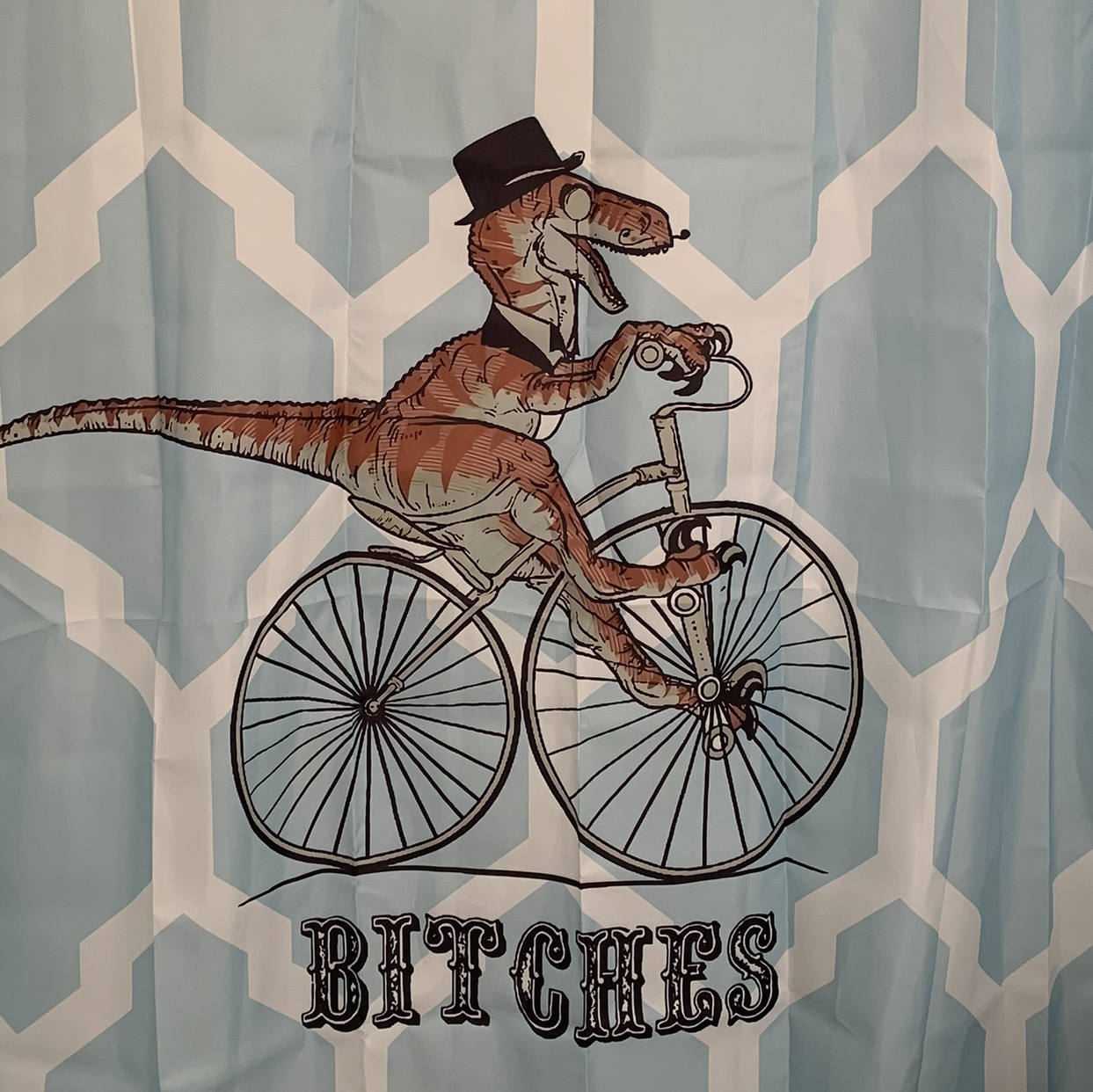 Avatar for Veronica on Greg, the plant care app