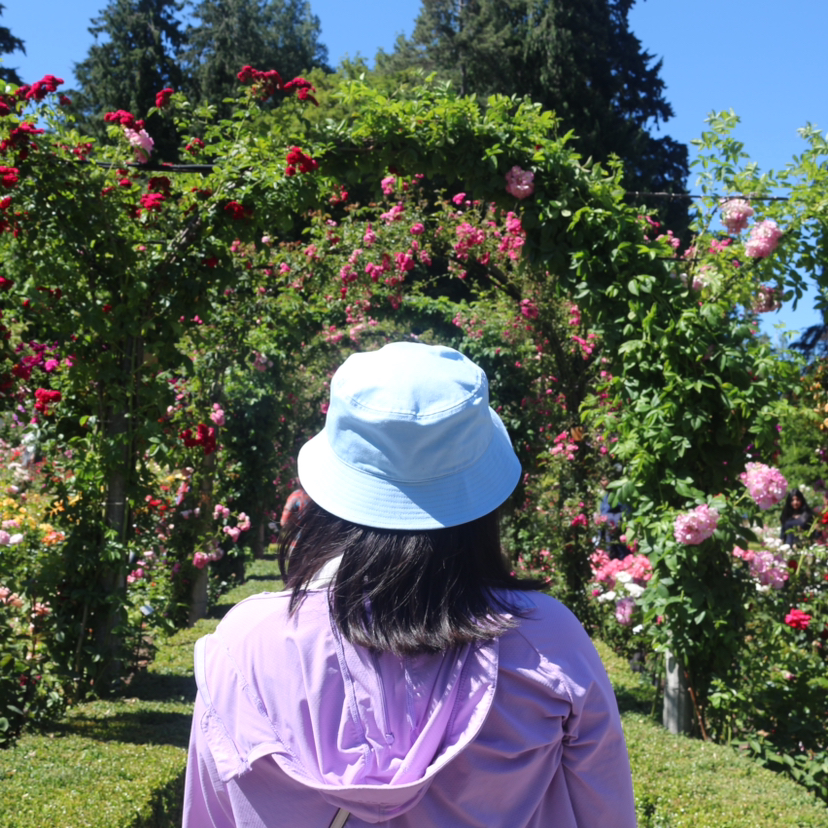 Avatar for @auroratychen on Greg, the plant care app